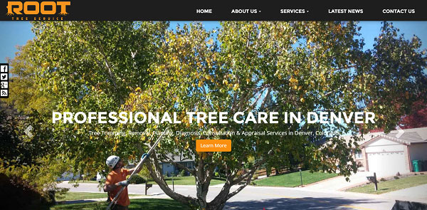 
New Website Launched: Root Tree Services