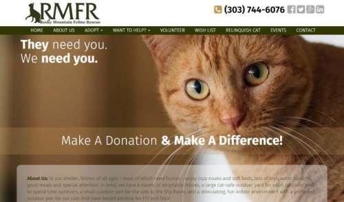 Rocky Mountain Feline Rescue