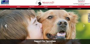 web-design-for-animal-adoption