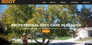 Root Tree Service